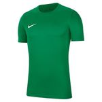 Nike Men's M Nk Dry Park Vii Jsy Ss T-Shirt - Pine Green/White, M