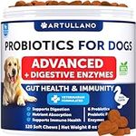 Probiotics for Dogs - Support Gut H