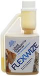 Imexa Flexwize Liquid Glucosamine Complex Bottle for Dogs and Cats 275 ml
