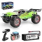 Hosim VENUM 1:8 RC Cars for Adults 