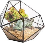 NCYP Geometric Glass Terrarium Half