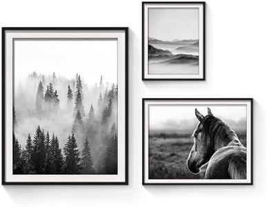 SunFlax Nature View Pictures Prints Framed - Mysterious Foggy Scenery Photography Black and White Wall Art with Wooden Frame for Bathroom, Living Room, Bedroom, Office 3 Panels