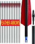 Real Turkey Feather Carbon Arrows 1