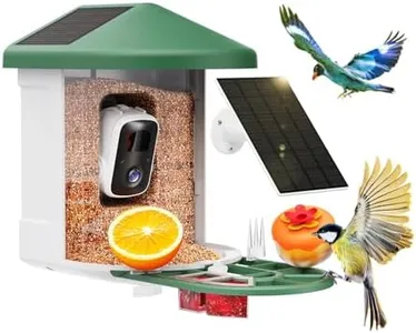 HARYMOR Smart Bird Feeder Camera with AI Identify Bird Species&Dual Solar Panel, Wild Bird Watching Cam, Auto Capture Bird Video, Instant Bird Arrival Alert, Phone Live View, Ideal Gift for Bird Lover