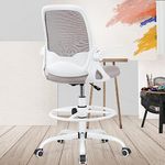 KERDOM Ergonomic Office Chair, Desk chair with Flip-up Armrests and Lumbar Support, Height Adjustable Computer Swivel Chair with Footrest Ring Suitable for Home Office Drafting Gray