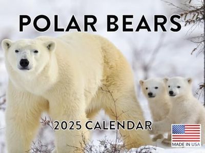 Polar Bear Calendar 2025 Monthly Wall Calender 12 Month