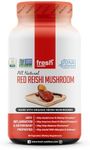 Fresh Nutrition Organic Reishi Mushroom Capsules - Rich in Alpha Glucan - Ganoderma Lucidum & Ganoderma Applanatim - Third Party Tested - 90 Capsules/Pills