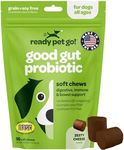 Probiotic Chews for Dogs Gut Health | Tasty Pre and Probiotics for Dogs Digestive Health with Pumpkin Dog Probiotics and Digestive Enzymes | NASC Certified & Made in The USA | 90 Chews