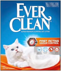 Ever Clean