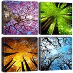 Canvas Prints Of Mirrors