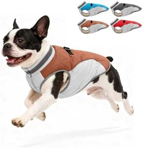 Aokown Dog