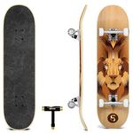 SKATRO - Pro Skateboard 31" Complete Skateboard. Skate Board ages: adults, boys, girls, beginners, and Kids