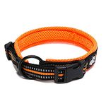 PetsUp Stylish Dog Collar Neck Belt for Small Medium Large Dogs (Large, Reflective Collar- Orange)