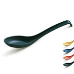 Evanda Plastic Soup Spoon of 12 Pieces, Unbreakable Reusable Dinner Spoon for All Purpose and All Age Microwave Safe BPA Free Dishwasher Safe (Dark Green)