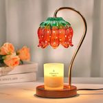 Strawberry Candle Warmer Lamp, Cute