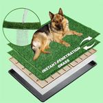 MEEXPAWS Dog Grass Pad with Tray Extra Large, New Generation Instant-Penetration Artificial Grass for Dog Potty with Tray, Indoor Dog Litter Box for Balcony,Hemmed Edge, Disposable Pee Pad