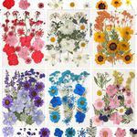 CONVELIFE Dried Flowers for Resin, 