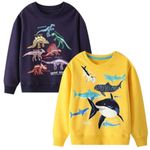 Winzik Boys Sweatshirts, Toddler Sweatshirt Boy Clothes 2 Pack Kids Crewneck Long Sleeve Dinosaur Shirts 2-7T (18-24 Months, 2Pack Dinosaur Shark)