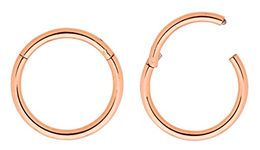 365 SLEEPERS 2 Pieces Stainless Steel Unisex 16G Hinged Hoop Segment Lip Nose Ring Septum Helix Tragus Sleeper Earrings 6mm - 16mm