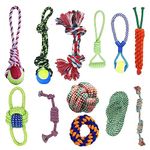 cature Care by Nature Dog Chew Toy Combo Of Dumble Chew Toy Teether & Latex Non-Toxic Toys Rubber Ring Toy (Multicolor)