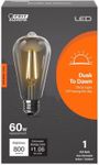 Feit Electric ST19 E26 (Medium) LED