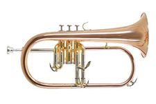 Roy Benson Professional Flugelhorn