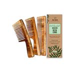 Nat Habit - Kacchi Neem Wooden Comb - Soaked In 17 Herbs, Neem & Sesame Oil For Multi-Actions - Detangling, Frizz Control & Shine (Dual Tooth, Fine Tooth & Wide Tooth) Combo Pack of 3