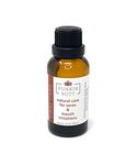 Punkin Butt Oral Care 1 oz Glass Bottle. Chamomile, Clove, Peppermint. Natural, Safe, Effective; Cruelty-Free, Vegan, use as Often as Needed.