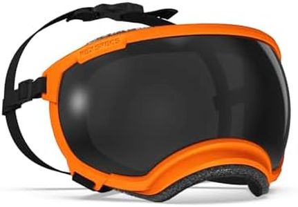 Rex Specs