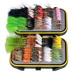 Double Side Waterproof Pocketed Fly Box + Assorted Dry Flies Fishing Lure Pack of 100 Fly Lure