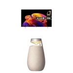 LG OLED65B6ELC 65-Inch OLED AI 4K UHD Smart TV bundle with XO2 Portable Bluetooth Multi-Directional Speaker, 15H Battery Life, IP55 Waterproof