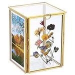 JUXYES Multi Picture Frame Cube Hol