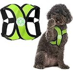 Gooby Choke Free Comfort X Step-In Dog Harness, Medium, Green