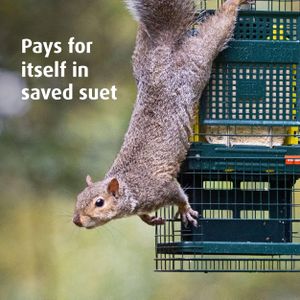 Jacobi Jayne Squirrel-Proof Suet Bird Feeder – Metal, Easy Clean, Hanging