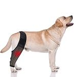 Dog Knee Braces for Back Leg for Su