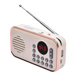 Pagaria Pocket FM Radio, 5 Watts with Bluetooth/USB/TF, Type C Charging, Earphone, Rechargeable, Model: WALKIE (White)