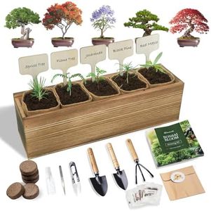 5 DIY Bonsai Tree Kit for Beginners, Complete Indoor Gardening Starter Kit with Seeds, Soils, Pots & Tools, Unique Birthday Gifts Ideas for Women, Men