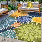 Colorful 5x8 Outdoor Area Rug Washa