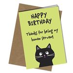 Funny Happy Birthday Card from The Cat Pet Theme Perfect for Mum/Dad/Husband/Wife/Boyfriend #1421