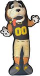 Pegasus Sports NFL Plushlete Mascot Pillow, New Orleans Saints