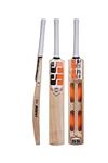 SS Premium Cricket Kashmir Willow L