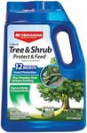 BioAdvanced 12 Month Tree and Shrub
