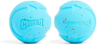 Chuckit! Medium Rebounce Ball 2.5",