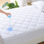 Queen Mattress Protector