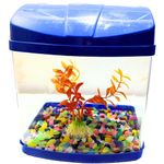 KSH STORE-Mini Aquarium Fish Tank with One Plant and beta food 20g, Breeding Tank for Betta Fish. Suitable for Home Decoration, Office, Home Desktop Décor and Kitchen Refrigerator Colour May Vary