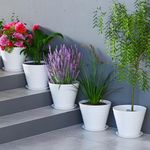 PIXERDOT Set of 5 | Big Flower Pots for Home Decoration, Indoor Plant Pots, Gardening Pots, Big Pots for Plants Big Size, Plastic Flower Pot, Flower Pots for Garden Plants (Pure White)