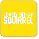 Hippowarehouse Lovely bit of squirrel printed coaster gloss finish durable backing 9cm x 9cm 2 pack