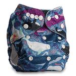 Littles & Bloomz, Reusable Pocket Cloth Nappy, Fastener: Popper, Set of 1, Pattern 58, with 1 Microfibre Insert