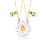 El Regalo 2 Pcs Bff Best Friend Forever Split Magnetic Matching Pendant Necklaces Set- Heart, Flower, Swan Etc Pendant Friendship Necklaces For Girls (Bf Flower Gold)