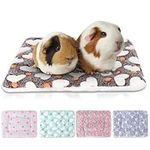 Sbayool 5PCS Guinea Pig Bed Mat, Warm Fluff Guinea Pigs Blankets, Small Animal Bed Mat for Kitten Rabbit Chinchilla Ferret Hamster(32×25cm, Heart)